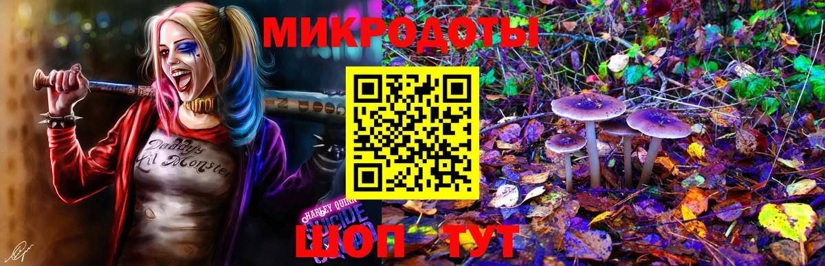 Галлюциногенные грибы GOLDEN TEACHER  Вход с VPN  купить  цена  Анапа 